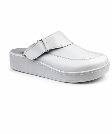 Anatomske papuče 2006